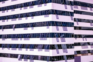 开云体育在线-体育赛事风险管控体系建设，体育赛事风险防范